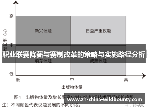 职业联赛降薪与赛制改革的策略与实施路径分析