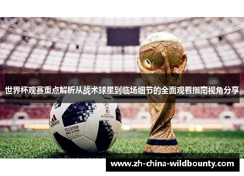 世界杯观赛重点解析从战术球星到临场细节的全面观看指南视角分享